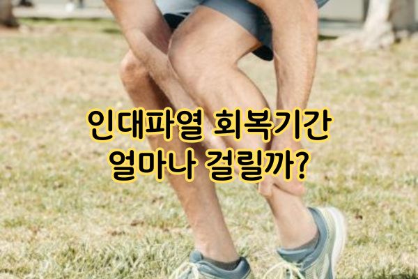 인대파열 회복기간