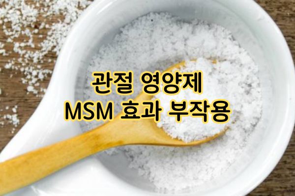 관절 영양제 MSM 효과 부작용