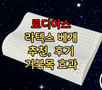 로디아스 라텍스 베개 추천 후기